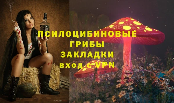 a pvp Мегион